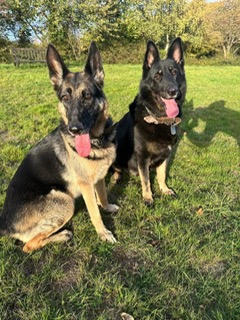 REBEL AND PENNY - KENT REBEL AND PENNY - KENT